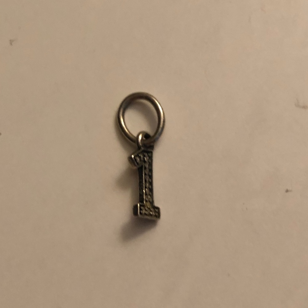 #1 Pandora Charm